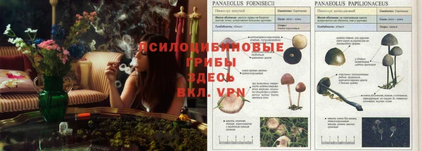 гидропоника Алексин